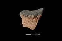 藏品(陶片)的圖片